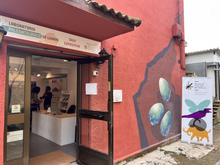 Laboratorio Paleontológico de Loarre