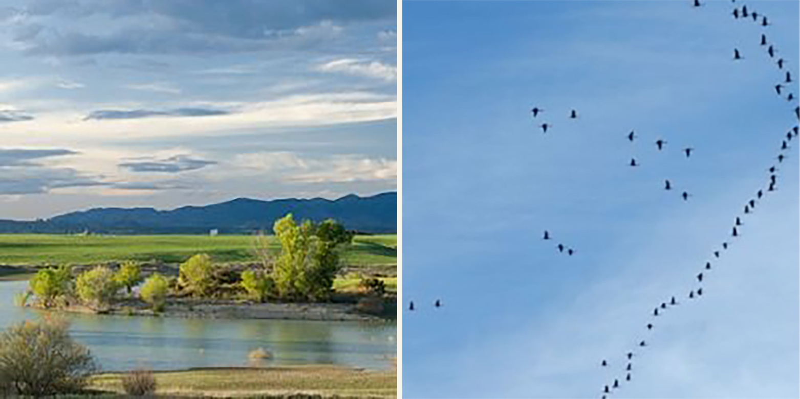 Embalse de la Sotonera y la Alberca de Alboré