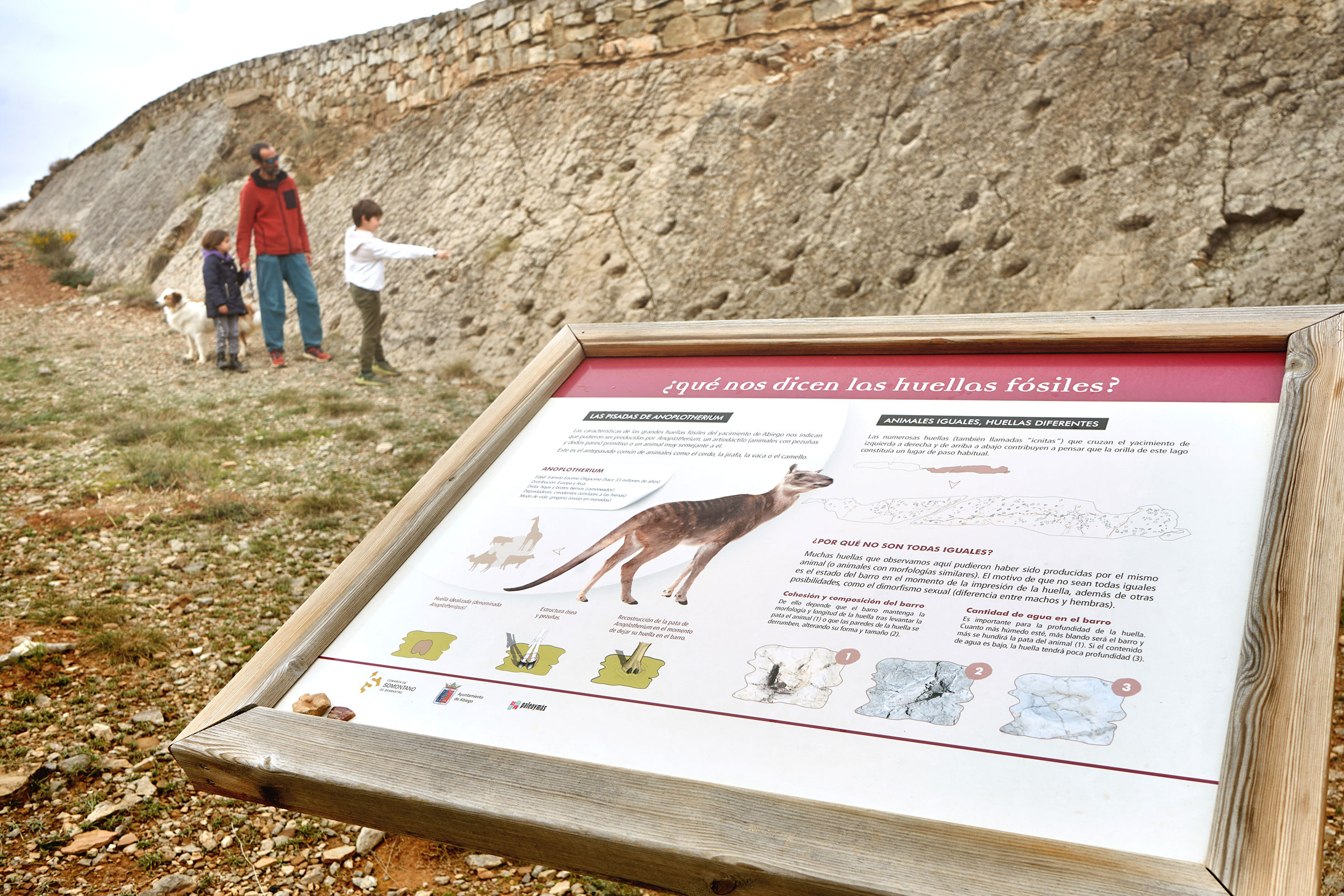 Yacimiento de la Fondota. Abiego